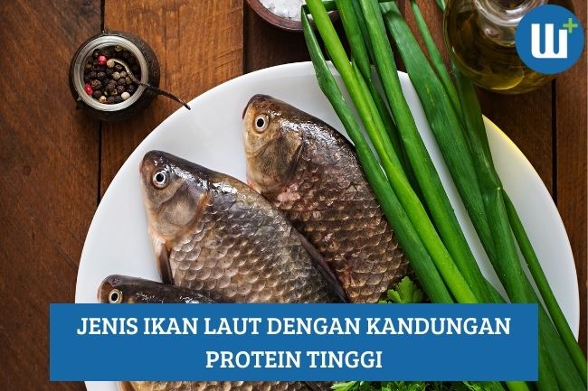 Jenis Ikan Laut dengan Kandungan Protein Tinggi, Harus Kamu Coba!